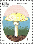 Briefmarke