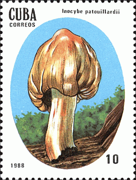 Briefmarke