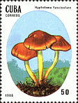 Briefmarke