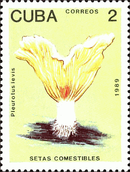 Briefmarke