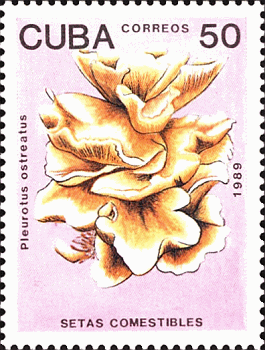 Briefmarke