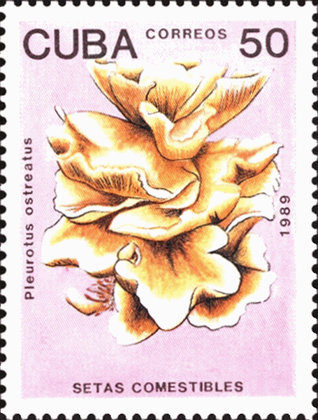 Briefmarke