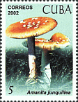 Briefmarke