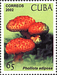 Briefmarke