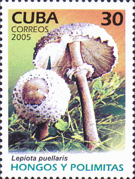 Briefmarke