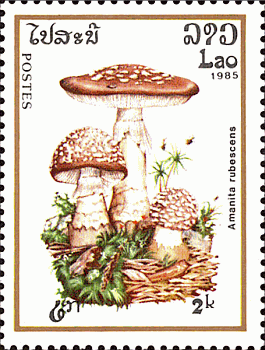 Briefmarke