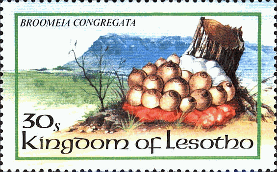 Briefmarke