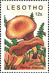 Briefmarke