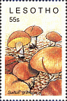 Briefmarke