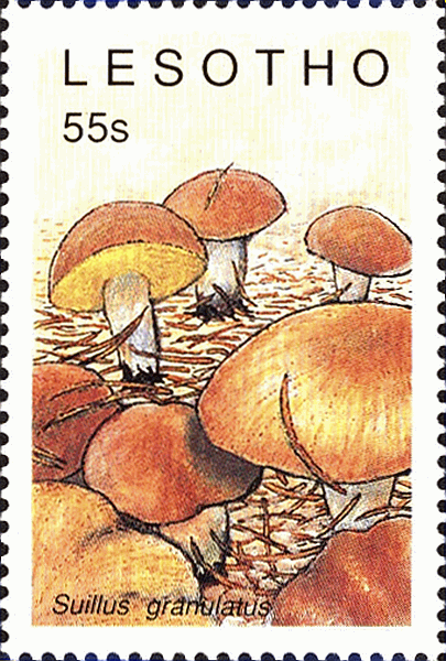Briefmarke