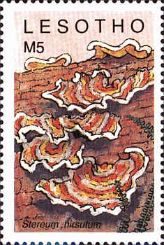 Briefmarke