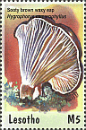 Briefmarke