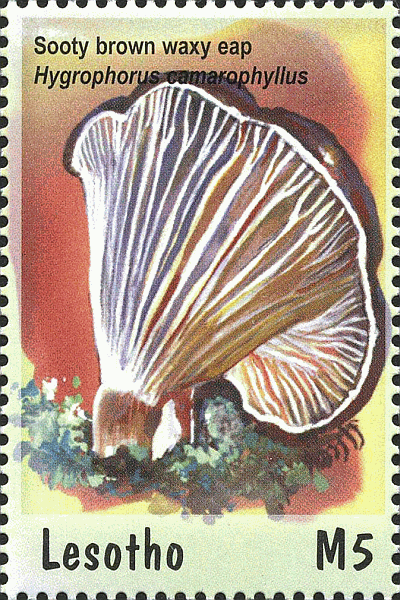 Briefmarke