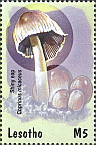 Briefmarke