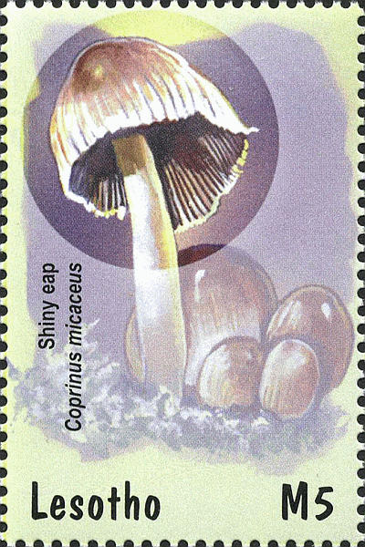 Briefmarke