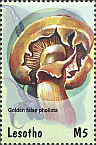 Briefmarke