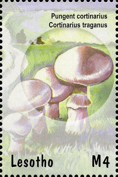 Briefmarke