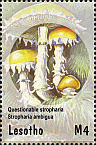 Briefmarke