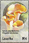 Briefmarke