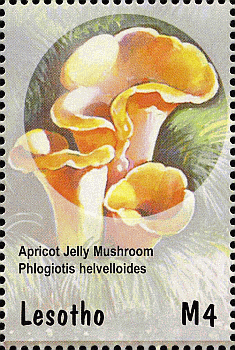 Briefmarke