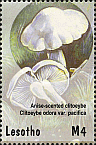 Briefmarke