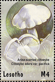 Briefmarke