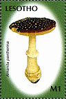 Briefmarke
