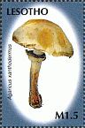 Briefmarke