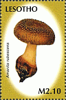 Briefmarke