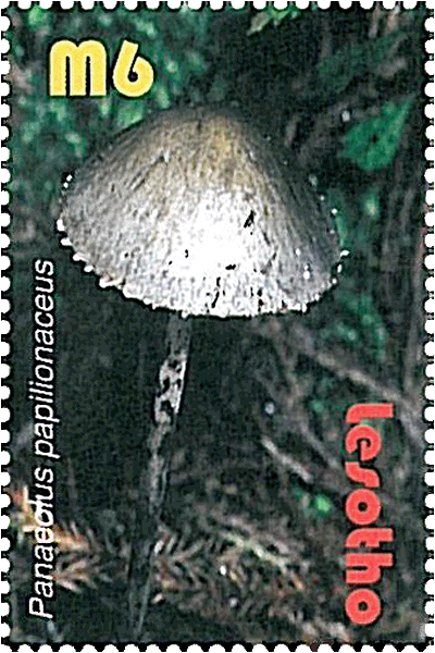 Briefmarke