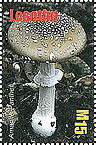 Briefmarke
