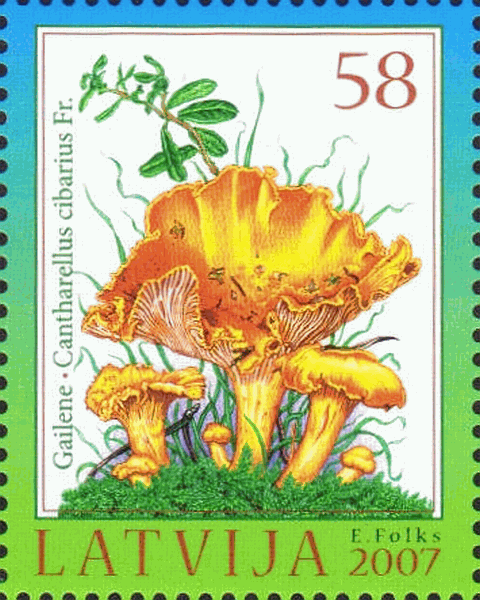 Briefmarke