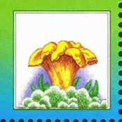 Briefmarke