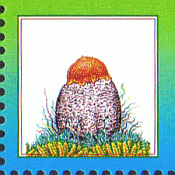 Briefmarke