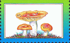 Briefmarke