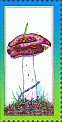 illustriertes Leerfeld