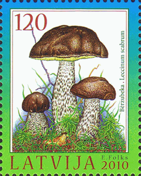 Briefmarke