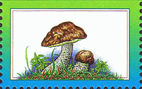 Briefmarke