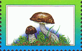 Briefmarke