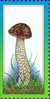 Briefmarke