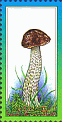 illustriertes Leerfeld