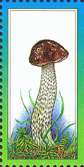 Briefmarke