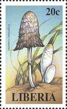 Briefmarke