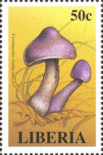 Briefmarke