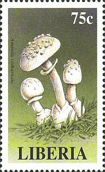 Briefmarke