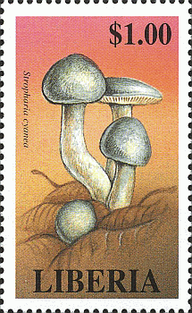 Briefmarke