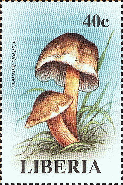 Briefmarke