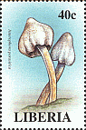 Briefmarke
