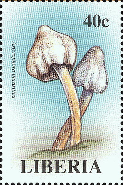 Briefmarke