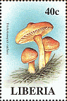 Briefmarke
